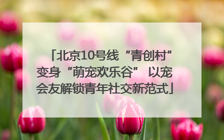 北京10号线“青创村”变身“萌宠欢乐谷” 以宠会友解锁青年社交新范式