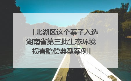 北湖区这个案子入选湖南省第三批生态环境损害赔偿典型案例
