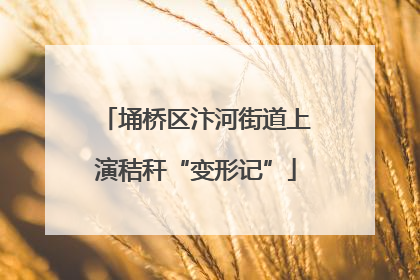 埇桥区汴河街道上演秸秆“变形记”