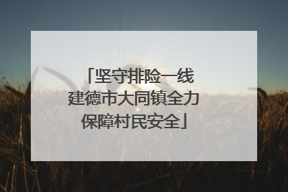 坚守排险一线 建德市大同镇全力保障村民安全