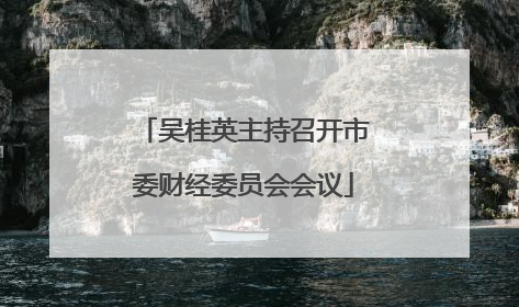 吴桂英主持召开市委财经委员会会议