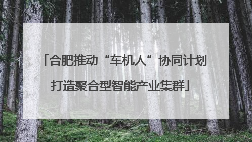 合肥推动“车机人”协同计划 打造聚合型智能产业集群