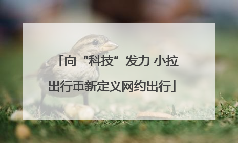 向“科技”发力 小拉出行重新定义网约出行