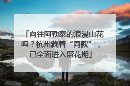 向往阿勒泰的浪漫山花吗？杭州藏着“同款”，已全面进入盛花期