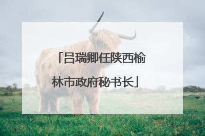 吕瑞卿任陕西榆林市政府秘书长