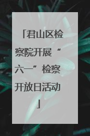 君山区检察院开展“六一”检察开放日活动