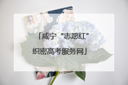 咸宁“志愿红”织密高考服务网
