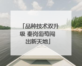 品种技术双升级 秦岗葡萄闯出新天地