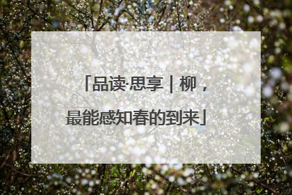 品读·思享｜柳，最能感知春的到来