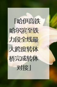 哈伊高铁哈尔滨至铁力段全线最大跨度转体桥完成转体对接