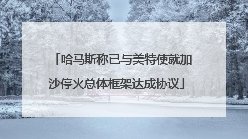 哈马斯称已与美特使就加沙停火总体框架达成协议