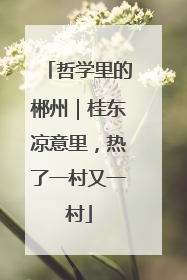 哲学里的郴州｜桂东凉意里，热了一村又一村