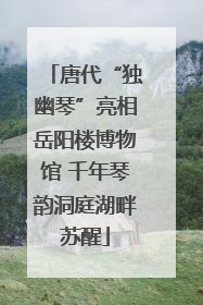 唐代“独幽琴”亮相岳阳楼博物馆 千年琴韵洞庭湖畔苏醒