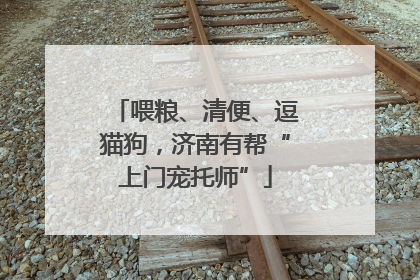 喂粮、清便、逗猫狗，济南有帮“上门宠托师”