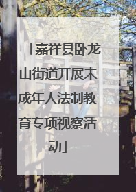 嘉祥县卧龙山街道开展未成年人法制教育专项视察活动