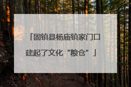 固镇县杨庙镇家门口建起了文化“粮仓”