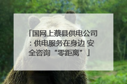 国网上蔡县供电公司：供电服务在身边 安全咨询“零距离”