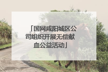 国网咸阳城区公司组织开展无偿献血公益活动