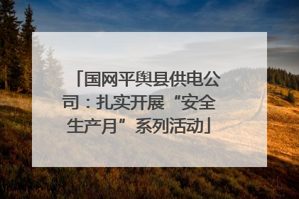 国网平舆县供电公司：扎实开展“安全生产月”系列活动