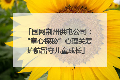 国网荆州供电公司：“童心探秘”心理关爱护航留守儿童成长