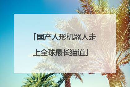 国产人形机器人走上全球最长猫道