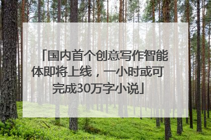 国内首个创意写作智能体即将上线，一小时或可完成30万字小说