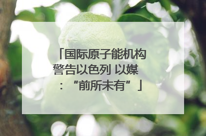 国际原子能机构警告以色列 以媒：“前所未有”