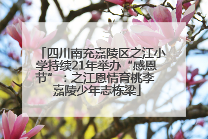 四川南充嘉陵区之江小学持续21年举办“感恩节”：之江恩情育桃李 嘉陵少年志栋梁