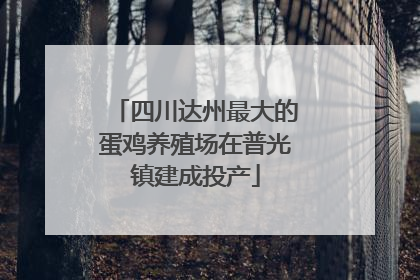 四川达州最大的蛋鸡养殖场在普光镇建成投产