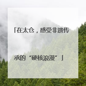 在太仓，感受非遗传承的“硬核浪漫”