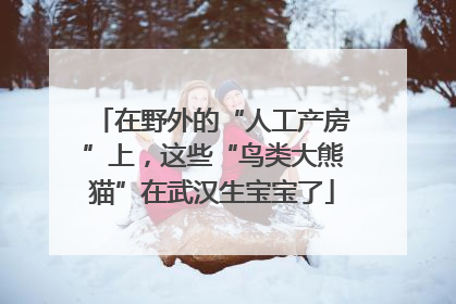 在野外的“人工产房”上，这些“鸟类大熊猫”在武汉生宝宝了