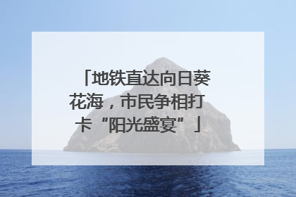 地铁直达向日葵花海，市民争相打卡“阳光盛宴”