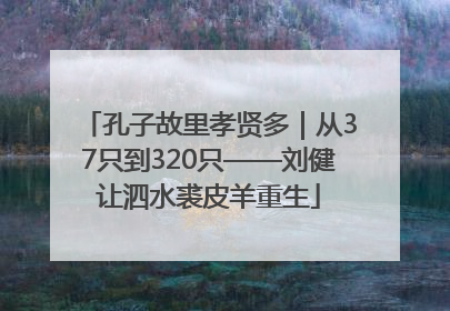 孔子故里孝贤多｜从37只到320只——刘健让泗水裘皮羊重生