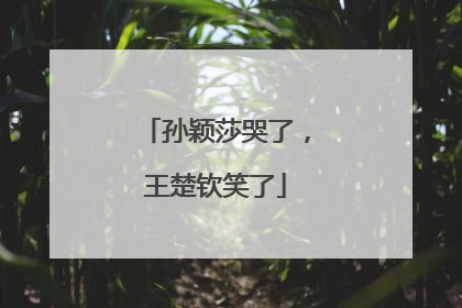 孙颖莎哭了，王楚钦笑了