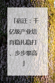 宿迁：千亿级产业培育稳扎稳打、步步攀高