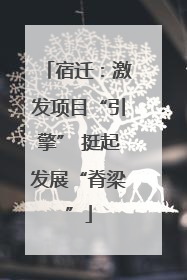 宿迁：激发项目“引擎” 挺起发展“脊梁”
