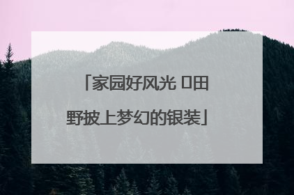 家园好风光 ⎮田野披上梦幻的银装