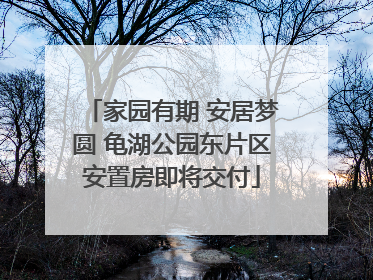 家园有期 安居梦圆 龟湖公园东片区安置房即将交付