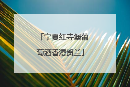 宁夏红寺堡葡萄酒香漫贺兰