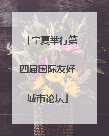宁夏举行第四届国际友好城市论坛