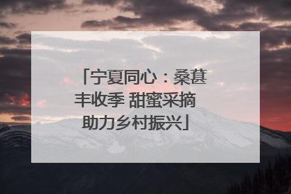 宁夏同心：桑葚丰收季 甜蜜采摘助力乡村振兴