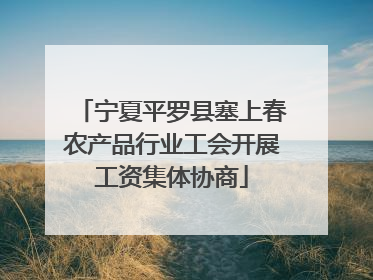 宁夏平罗县塞上春农产品行业工会开展工资集体协商