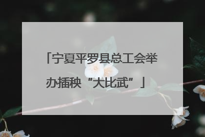 宁夏平罗县总工会举办插秧“大比武”