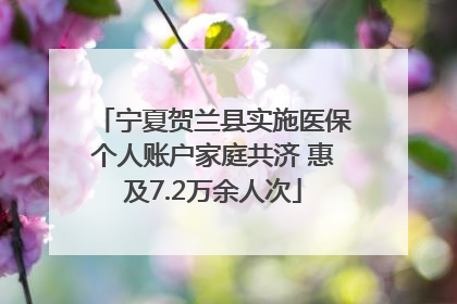 宁夏贺兰县实施医保个人账户家庭共济 惠及7.2万余人次