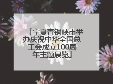 宁夏青铜峡市举办庆祝中华全国总工会成立100周年主题展览