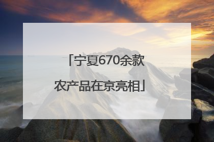 宁夏670余款农产品在京亮相