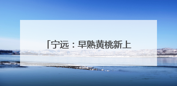 宁远：早熟黄桃新上市 生态种植助增收
