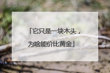 它只是一块木头，为啥能价比黄金