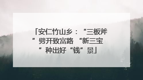 安仁竹山乡：“三板斧”劈开致富路 “新三宝”种出好“钱”景