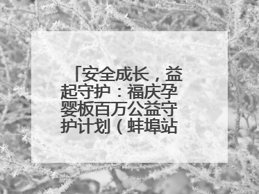 安全成长，益起守护：福庆孕婴板百万公益守护计划（蚌埠站）圆满成功